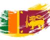 Sri Lanka flag brush stroke grunge background. Vector illustration.